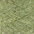 6921 - Fern