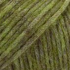 46 - Dark Olive **NEW**