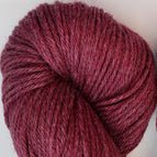 51171 - Begonia