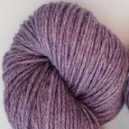 51172 - Iris