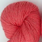 51193 - Guava