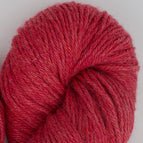 51194 - Rhubarb