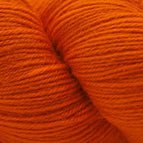 5646 - Pumpkin