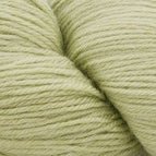 5798 - Eucalyptus **NEW**