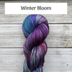 Winter's Bloom