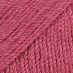 3770 - Raspberry Rose