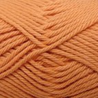 977 - Pumpkin *NEW*