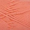 943 - Coral