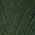 12071 - Douglas Fir