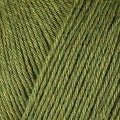 12069 - Fennel
